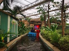 -南宫五洲植物乐园