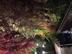 -醍醐寺