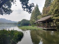 -茅家埠