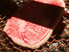 -黑牛の店·黑金店(沈阳万象城店)