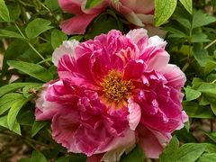 -太阳宫公园