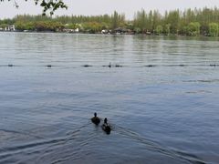 -浙江西子宾馆·瑶园咖啡厅