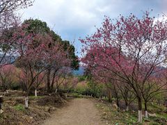 -福清灵石山国家森林公园