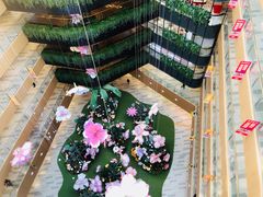 -渡娘火锅(大兴大悦春风里店)