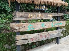 -寂照庵