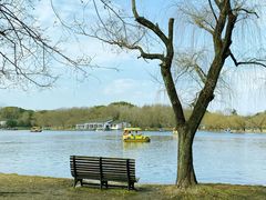 -上海共青森林公园