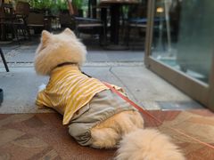 -扫雪煮茶(西村店)