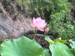 -广州莲花山旅游区