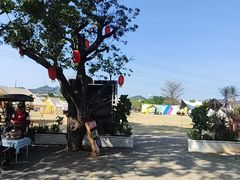 -长洲岛都市农业公园