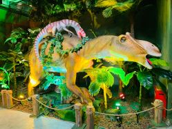 -恐龙探索乐园(磁器口店)