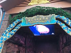 -西双版纳原始森林公园