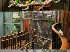 -正佳雨林生态植物园