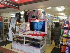 -秋叶原电器街