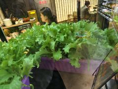 -番食园鲜食火锅(高新店)