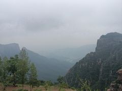 -雾与山茶(大禹城店)