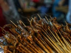 鳝鱼-晓靖轩烧烤(沙河风情店)