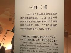 -余姚博物馆
