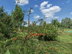 -瀛海足球主题公园