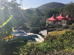 -汤山温泉房车营地 茶温泉