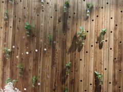 -和枫(众意路店)