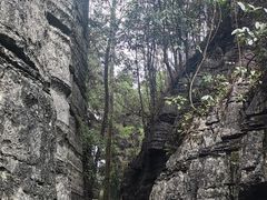 -梭布垭石林景区