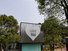 -铁山坪森林公园