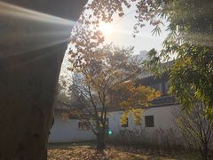 -堤角公园