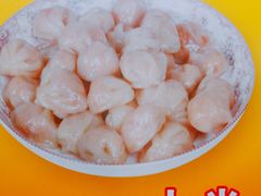 -公平菜粿(沙河店)