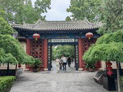 -大槐树寻根祭祖园