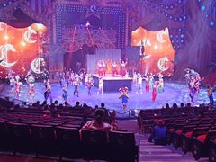 -珠海横琴长隆《卡卡虎奇遇记》