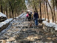 -阳台山自然风景区
