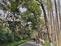 -采石矶景区