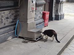 -平安桥天主教堂