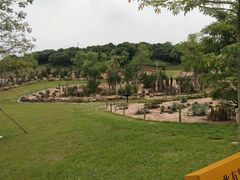 -东莞植物园