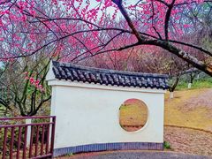 -重庆彩云湖湿地公园