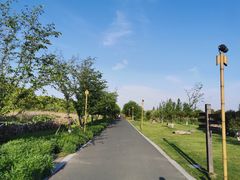 -长田漾湿地公园