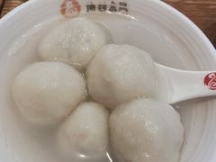 -海丝金凤(金鱼店)
