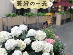 -证大大拇指广场(芳甸路店)