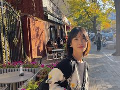 -三里屯东五街银杏大道