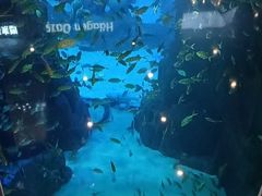 -成都浩海立方海洋公园