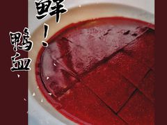 鲜鸭血-宽巷子成都火锅(南站店)