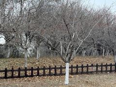 -长春世界雕塑园冰雪艺术天地