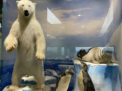 -国家自然博物馆