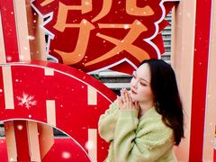 -VT101维多利广场
