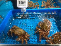 -盒马鲜生(岭南新世界店)