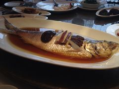 清蒸鲥鱼-苏浙汇(朝外店)