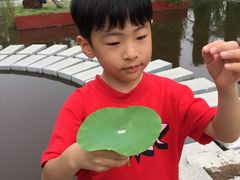 -武清南湖绿博园