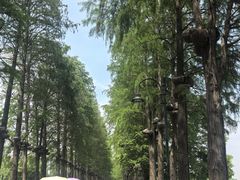 -东湖落雁景区