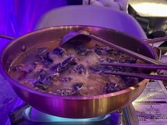 -Darling Queen·Mini·Live·House