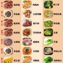 -Fundi张玉珊修身堂·indiba·BTL科技瘦身